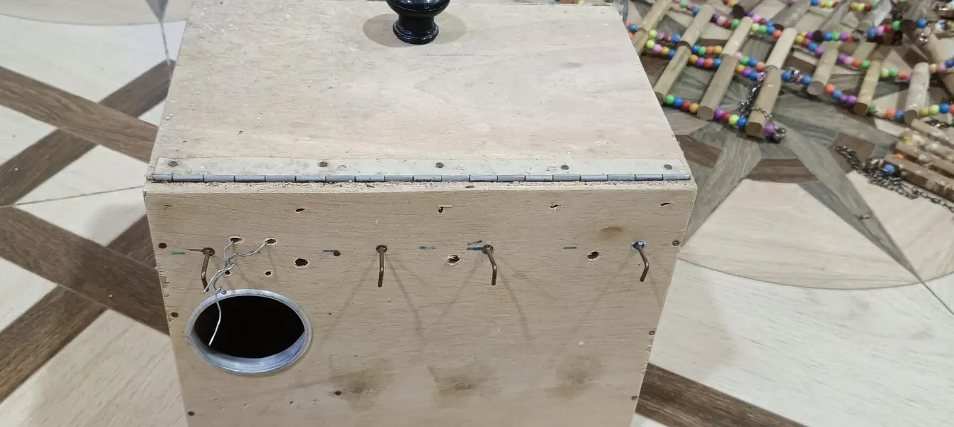 Jawa finches , customize breeding boxes  , birds swings — photo 4