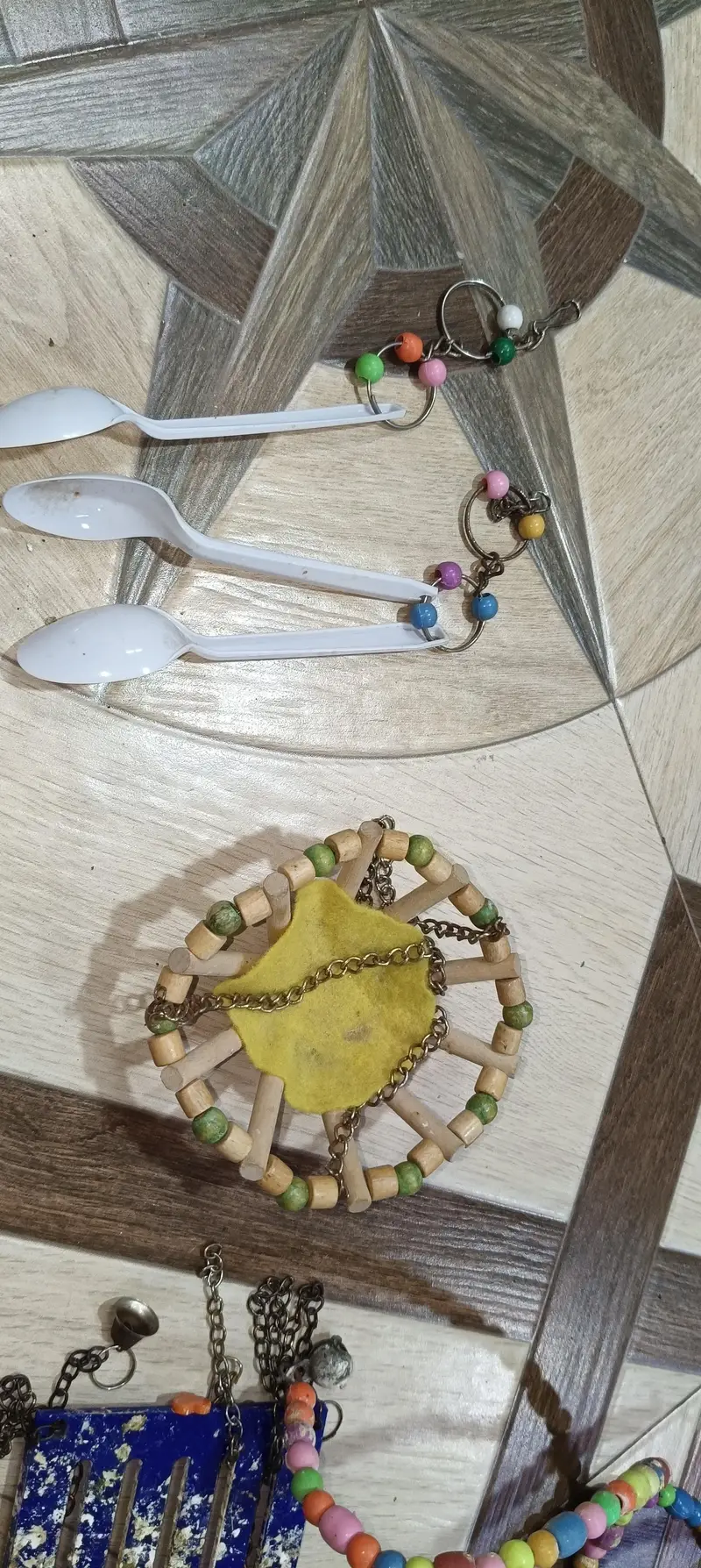 Jawa finches , customize breeding boxes  , birds swings — photo 10