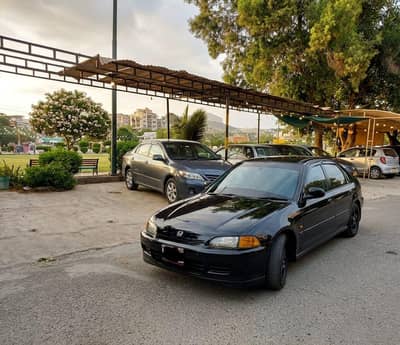Civic Dolphin
