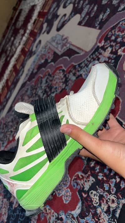 CA orignal griper shoes for cricket