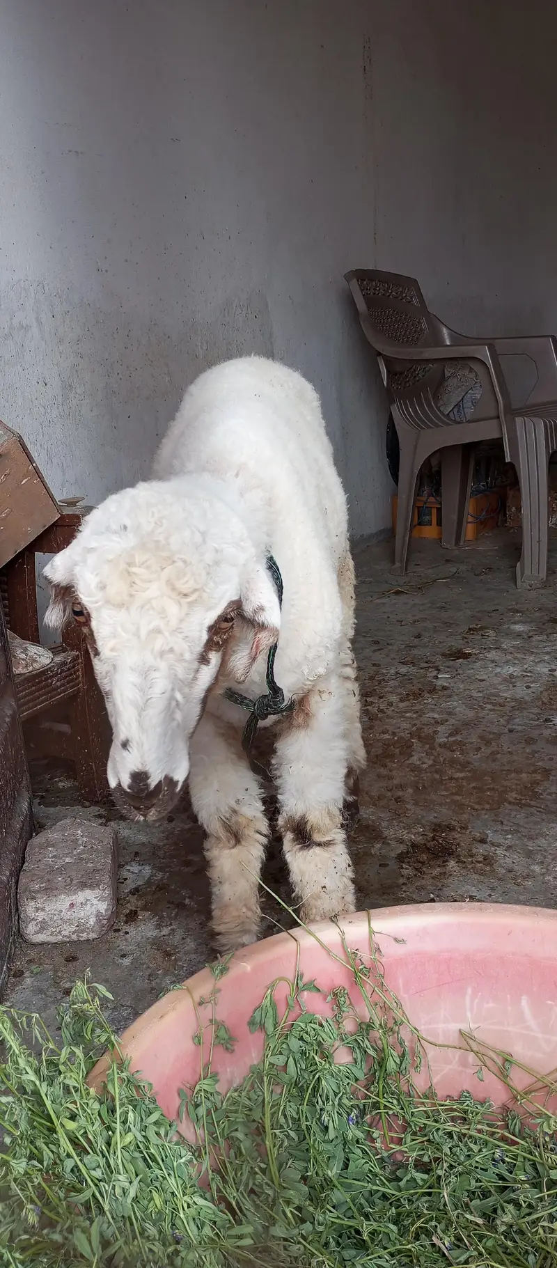 mundra