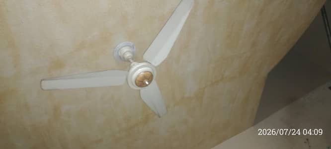 Punjab fan