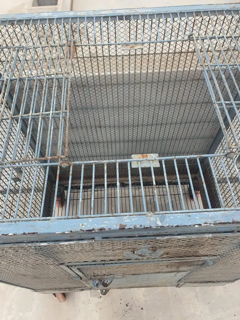 Macaw/Gray Parrots/ Cockatoo Cage — photo 4