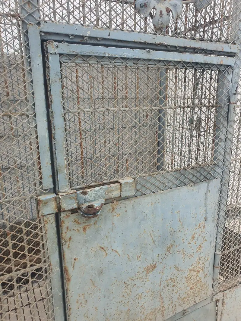 Macaw/Gray Parrots/ Cockatoo Cage — photo 5