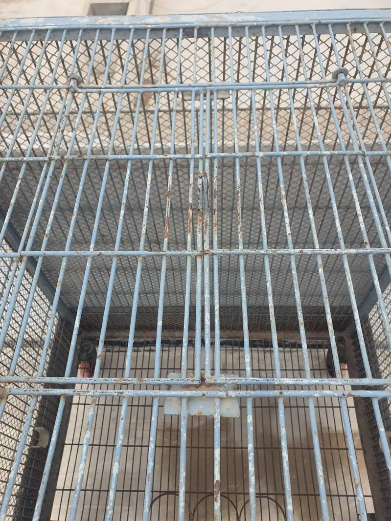 Macaw/Gray Parrots/ Cockatoo Cage — photo 7