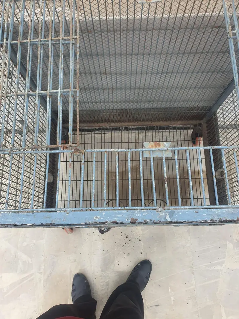 Macaw/Gray Parrots/ Cockatoo Cage — photo 8