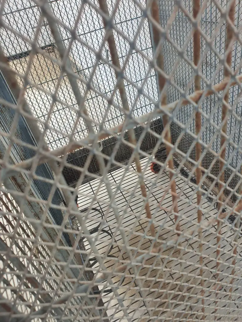 Macaw/Gray Parrots/ Cockatoo Cage — photo 10