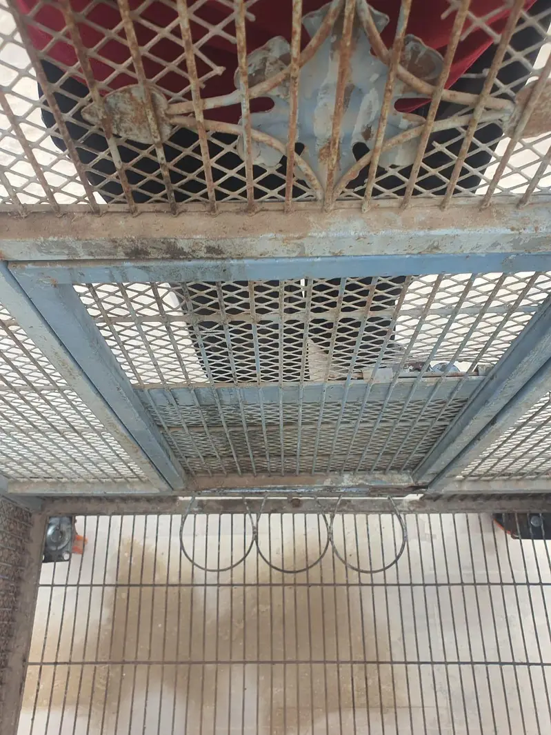 Macaw/Gray Parrots/ Cockatoo Cage — photo 11