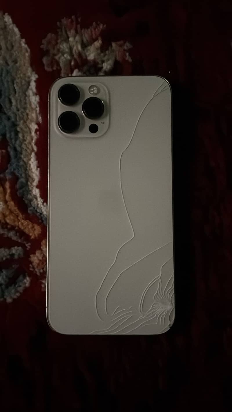 Apple iPhone 12 Pro Max 0