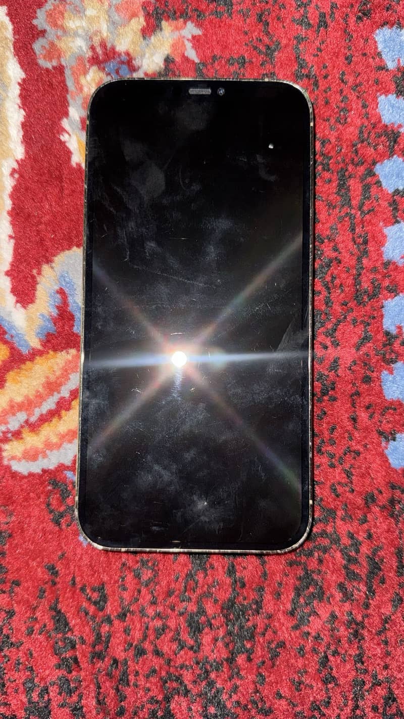 Apple iPhone 12 Pro Max 1