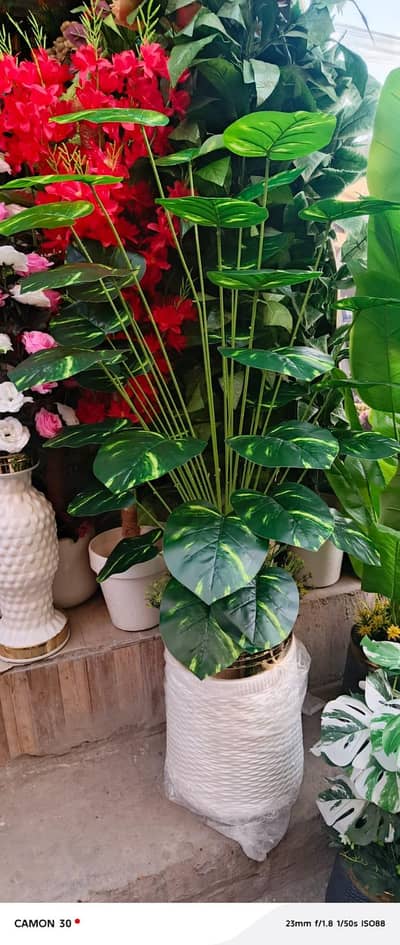 artificial scolant plant gamle ke sath Rs3000