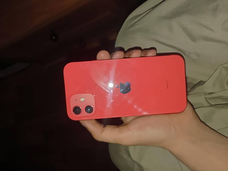 Apple iPhone 12 1