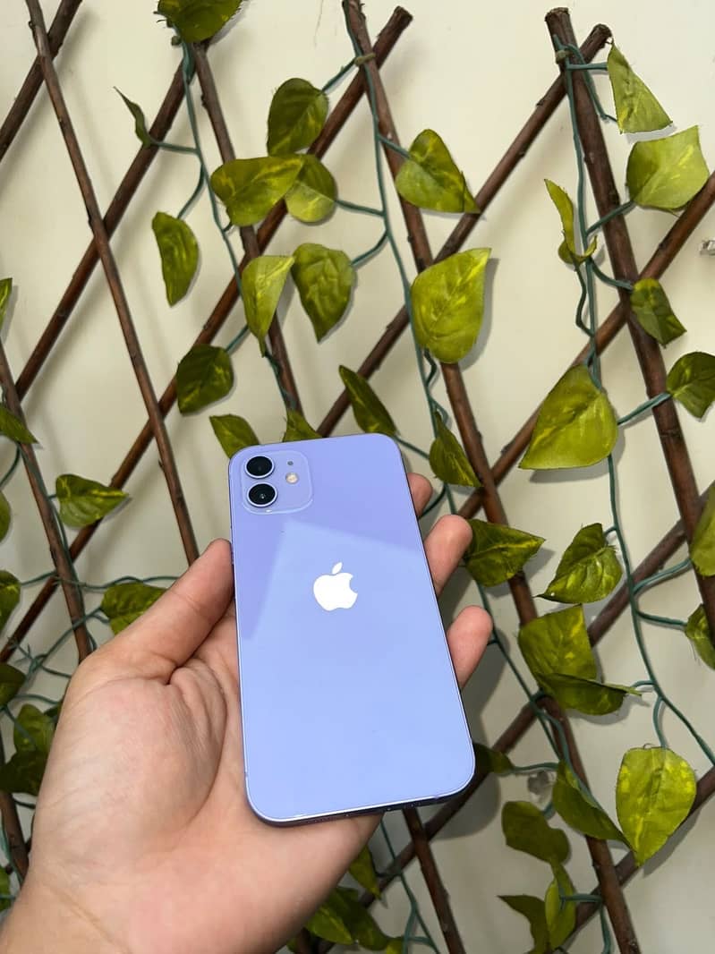 iphone 12 3