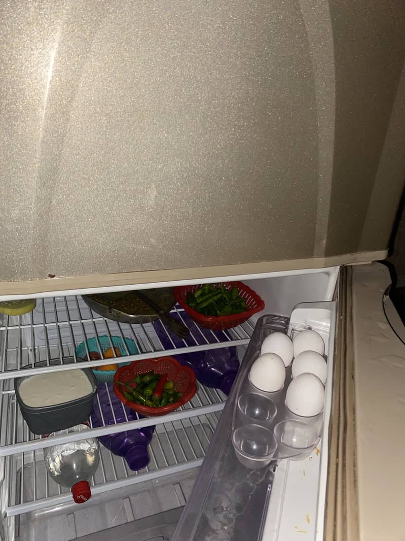 Frige with steplar 4