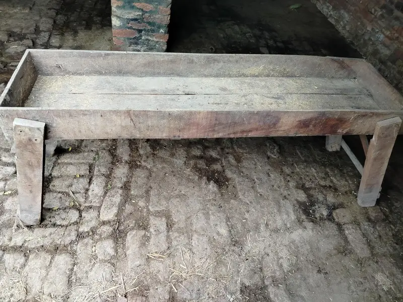 Bakriyon ki khurli — photo 2