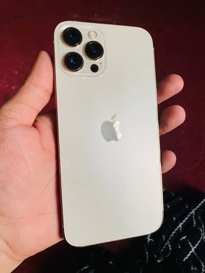 Apple iPhone 12 Pro 256 gb Non Pta