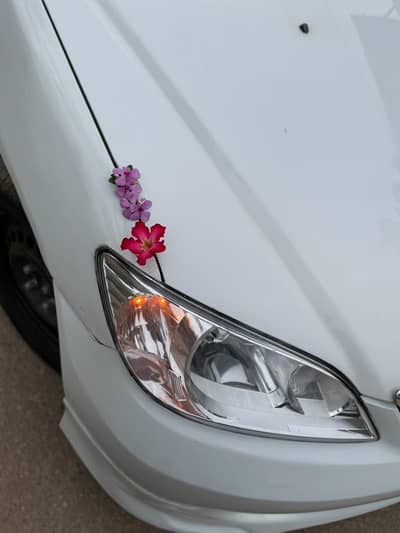 Honda Civic Prosmetic 2005