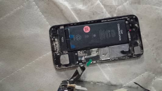 Apple iPhone 7