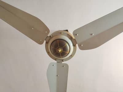 ceiling fan
