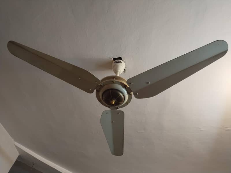 ceiling fan 1