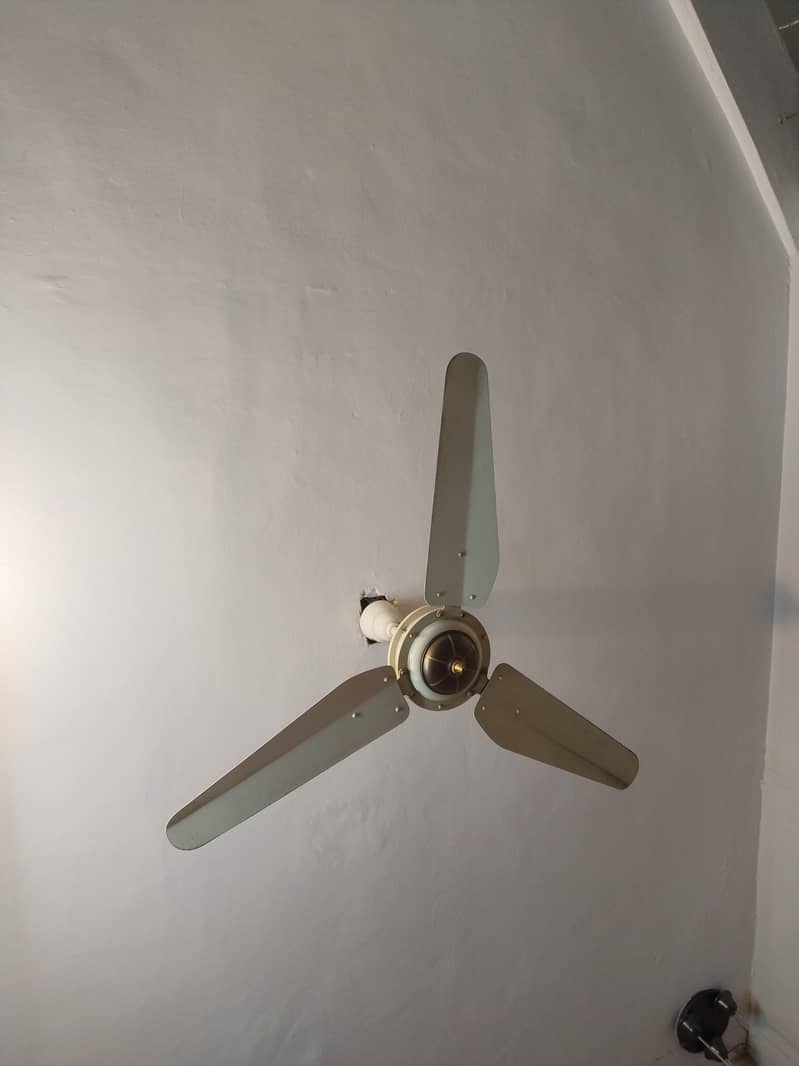 ceiling fan 2