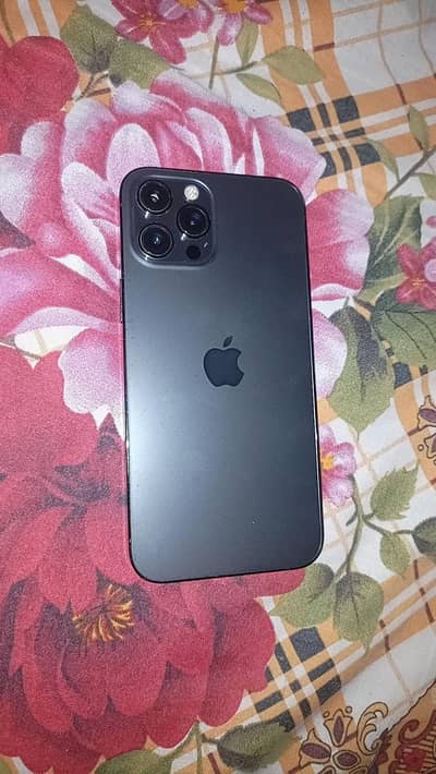 Apple iPhone 12 Pro Max