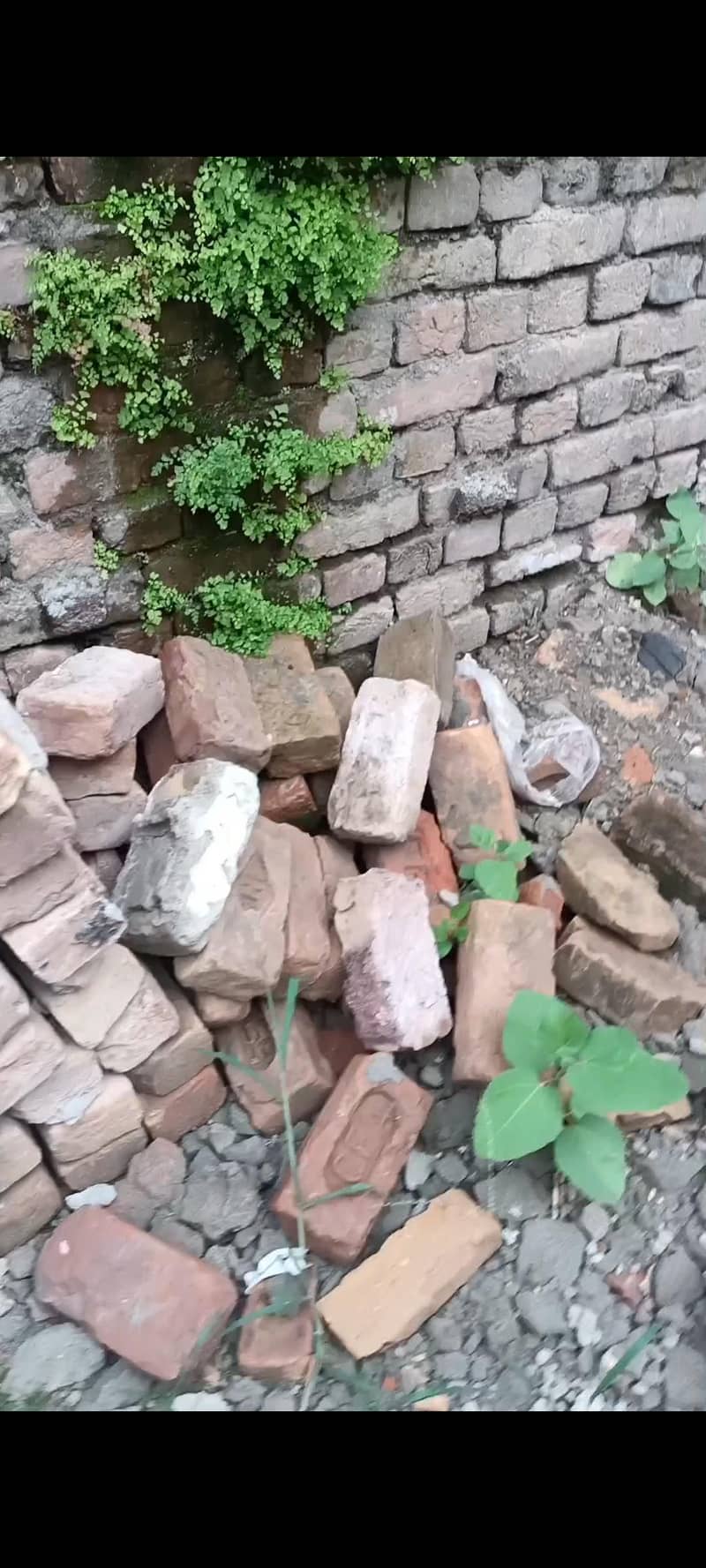 Bricks 4