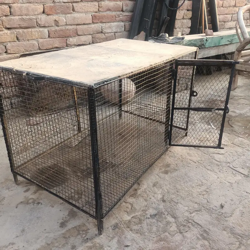 Good condition cage for hen,pets,and dogs. urgent salle. Fix price. — photo 2