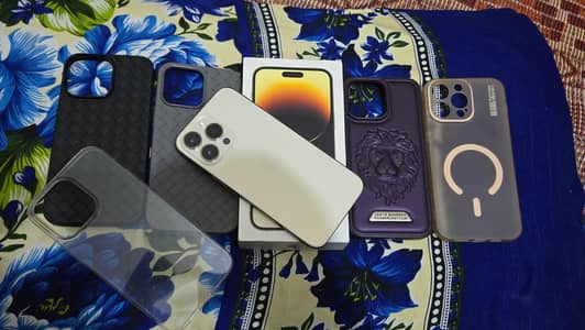 Apple iPhone 14 Pro Max Lush Condition