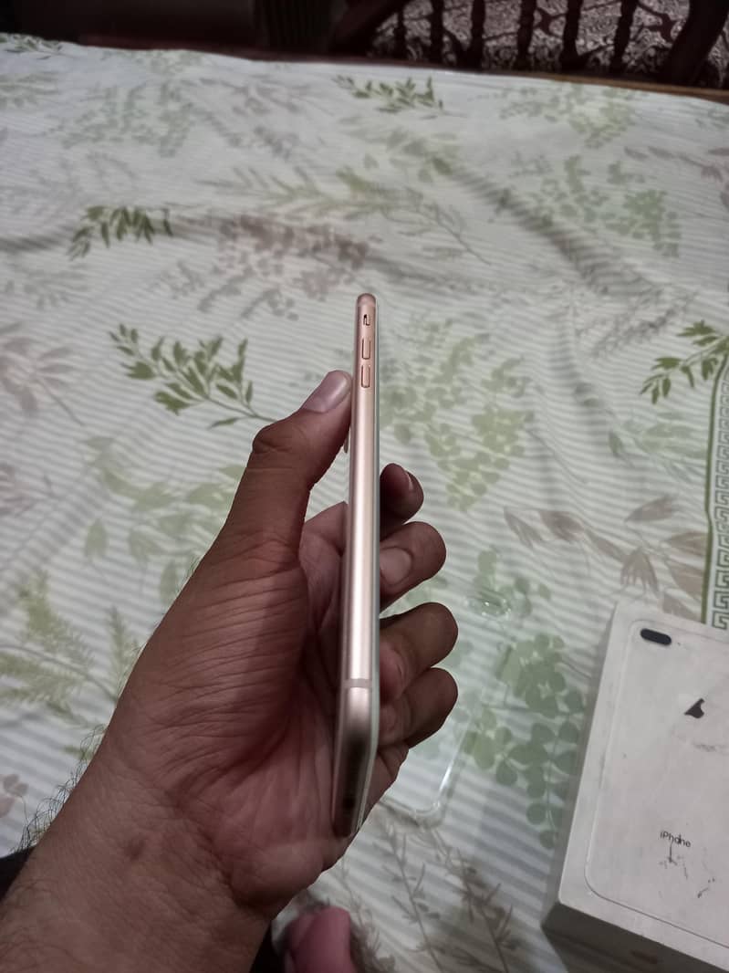 Apple iPhone 8 Plus 3