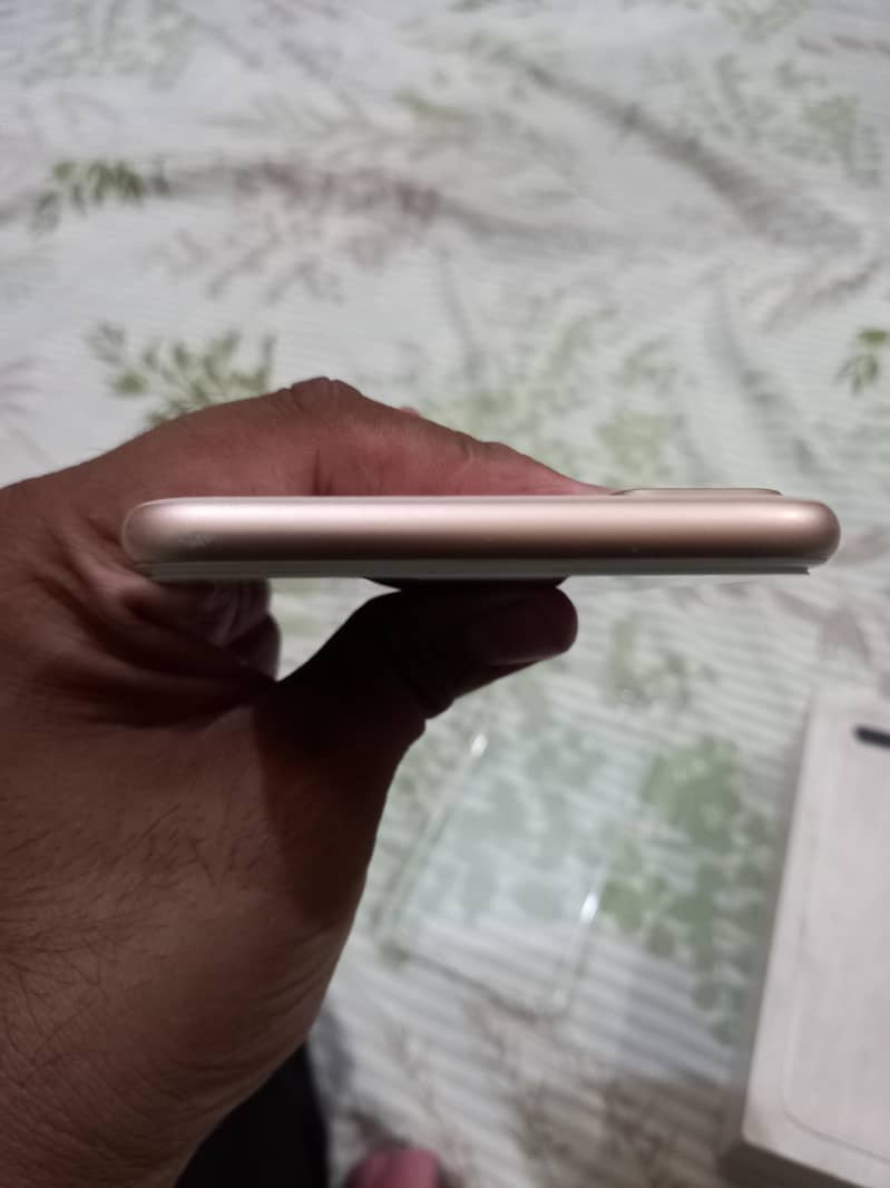 Apple iPhone 8 Plus 6