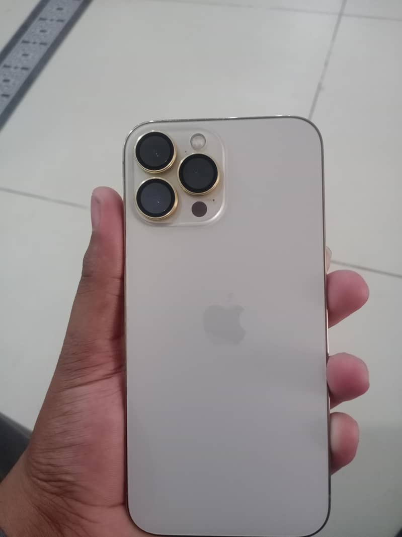 Apple iPhone 13 Pro Max 0