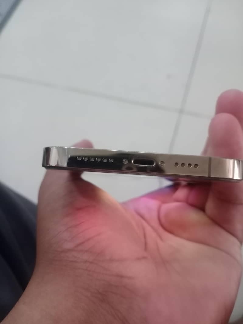Apple iPhone 13 Pro Max 1