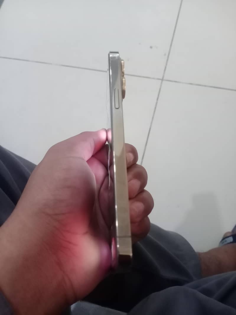Apple iPhone 13 Pro Max 3