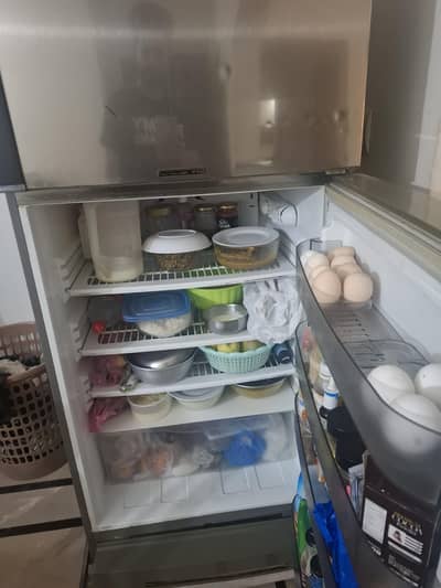 PEL Desire - Full Size Fridge (Non-Inverter)