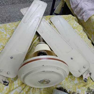 Ceiling Fan