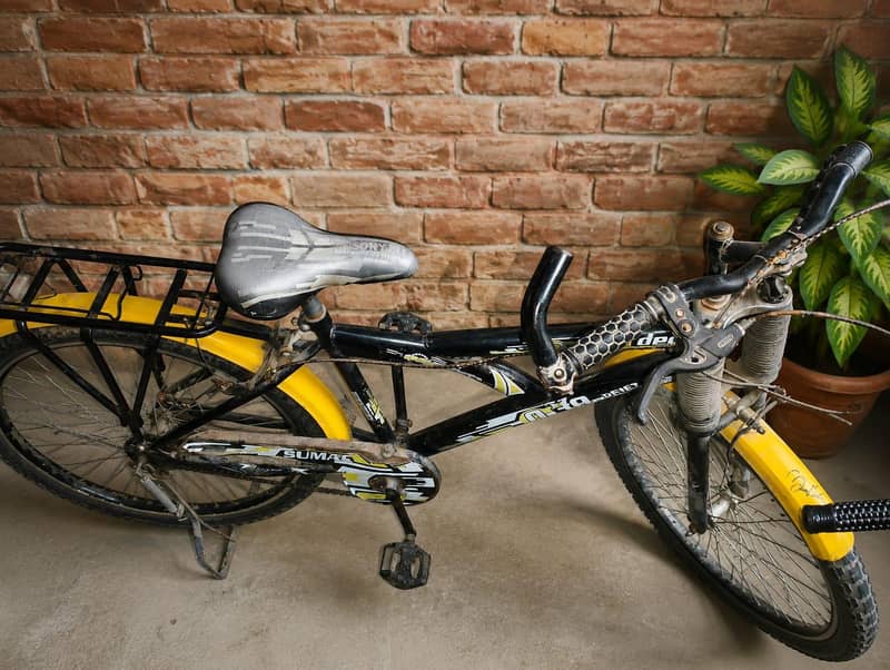 bicycle 1