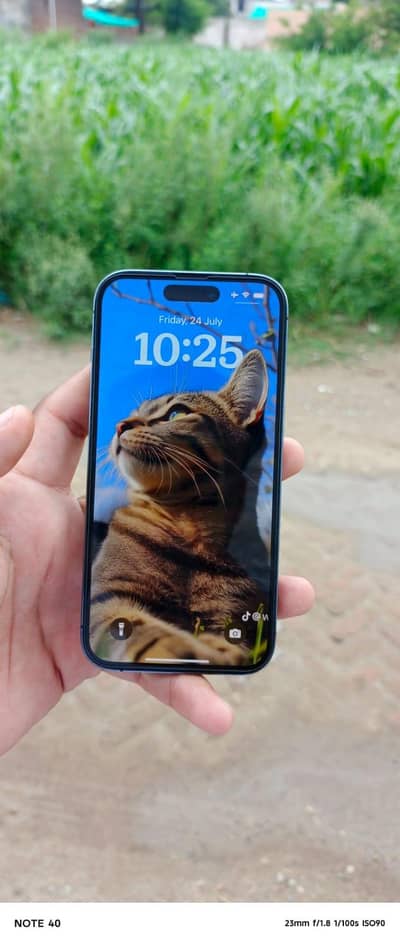 iphone 14 pro 256gb waterpack 100 health