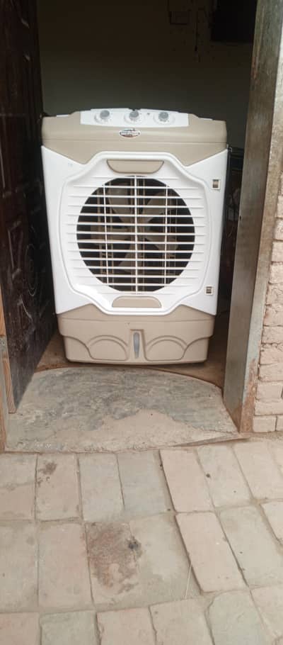 urgent sell contect me