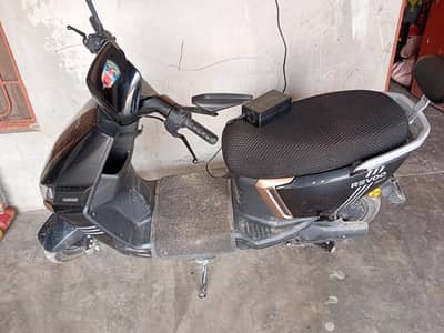 Revoo Scoty for Sale