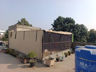 Birds Aviary