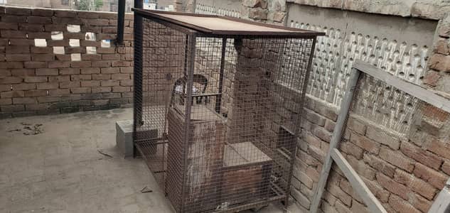 Heavy iron parrot  cage urgent sale