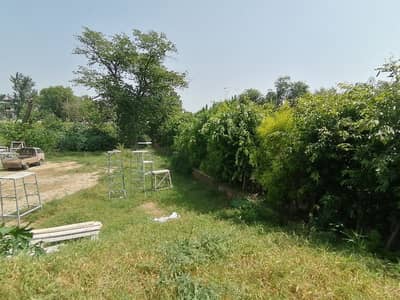 Buying A Residential Plot In F-8/1?