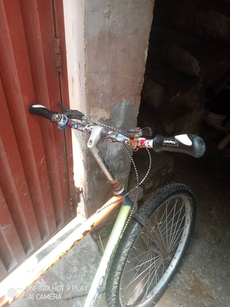 cikal 1
