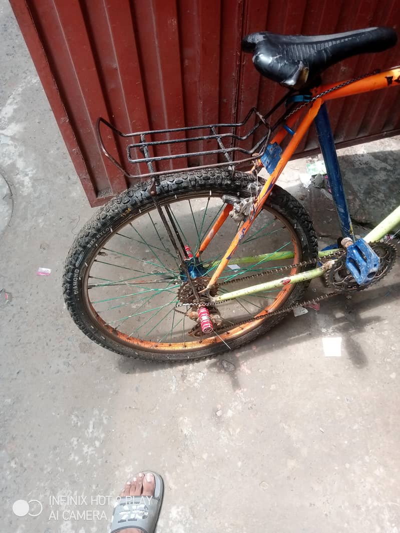 cikal 3