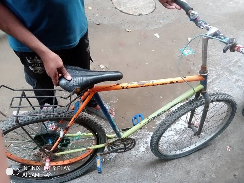cikal 5