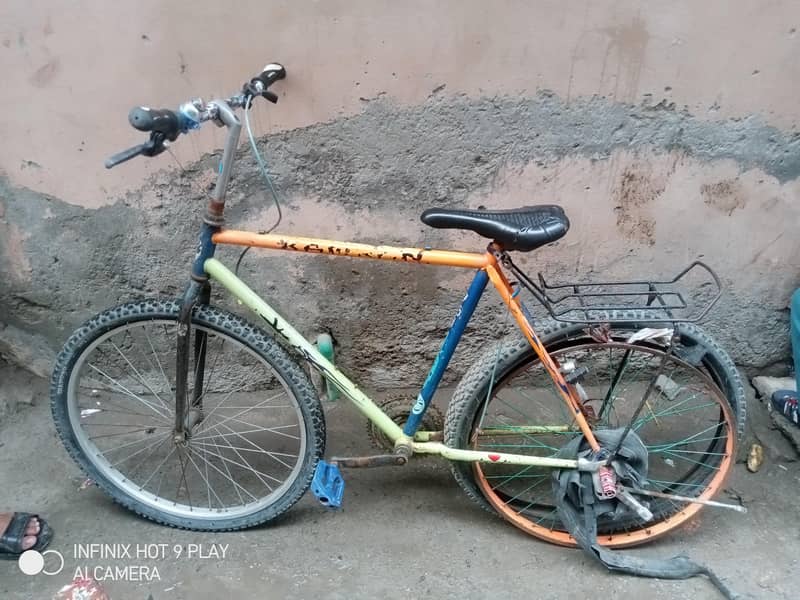 cikal 6