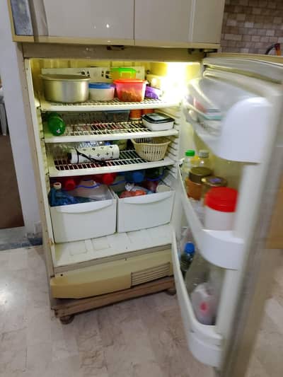 PEL frige for sale