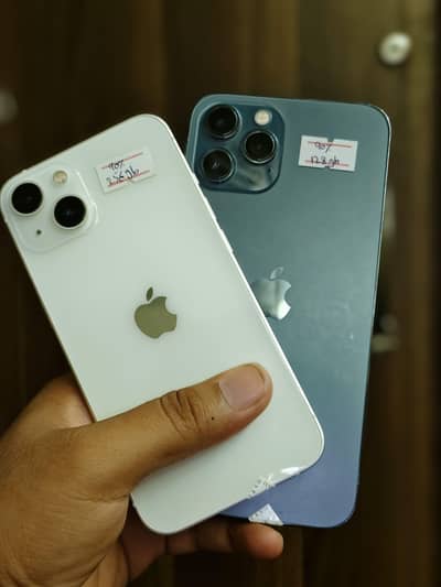 Apple iPhone 12 Pro Max and iPhone 13