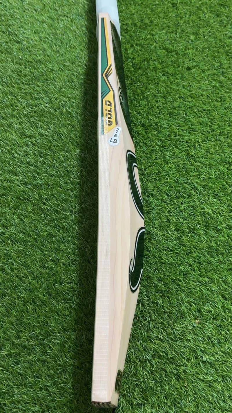 Cricket Bat 2